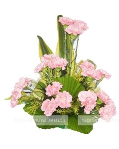 EXOTIC CARNATIONS