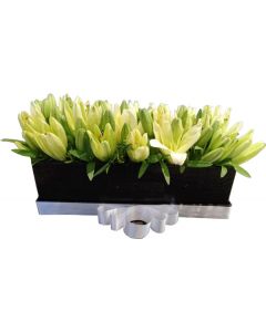 Lilies In Box
