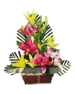 MIX LILIES FLOWERS