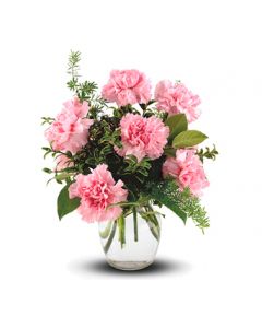 PINK CARNATION FLOWERS BOUQUET TO AUSTRALIA