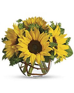 Sunny Sunflowers to USA