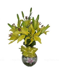 YELLOW EXOTIC LILIES IN VASE